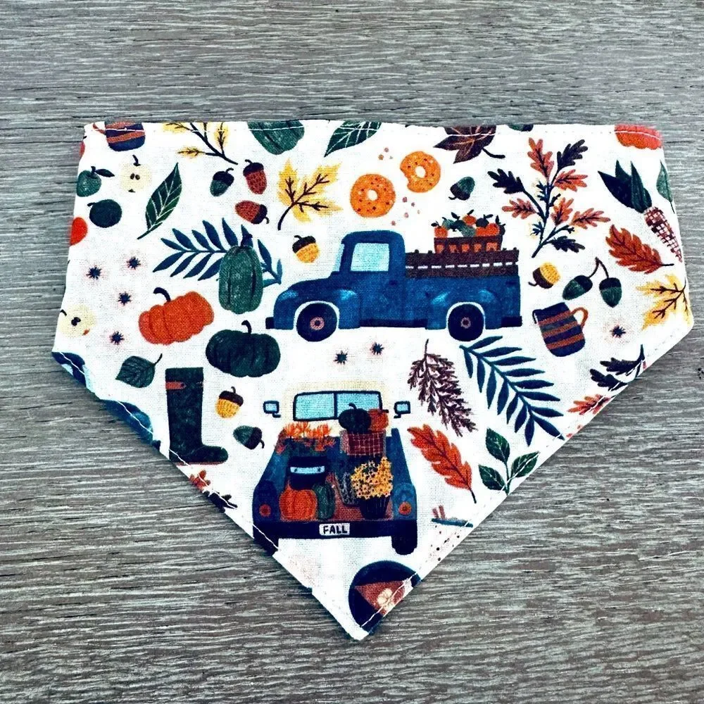 Fall Dog Farmhouse Truck Pumpkin Bandana Neck Collar M
